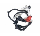 FERRARI F12 Berlinetta DCT Wiring Harnesses 289924